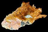 Pink and Orange Bladed Barite - Mibladen, Morocco #103714-1